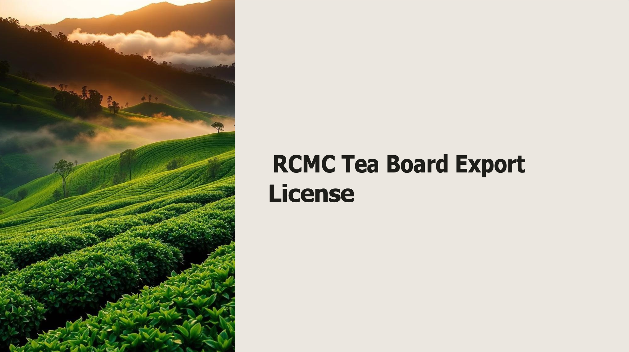 RCMC Tea Board Export License