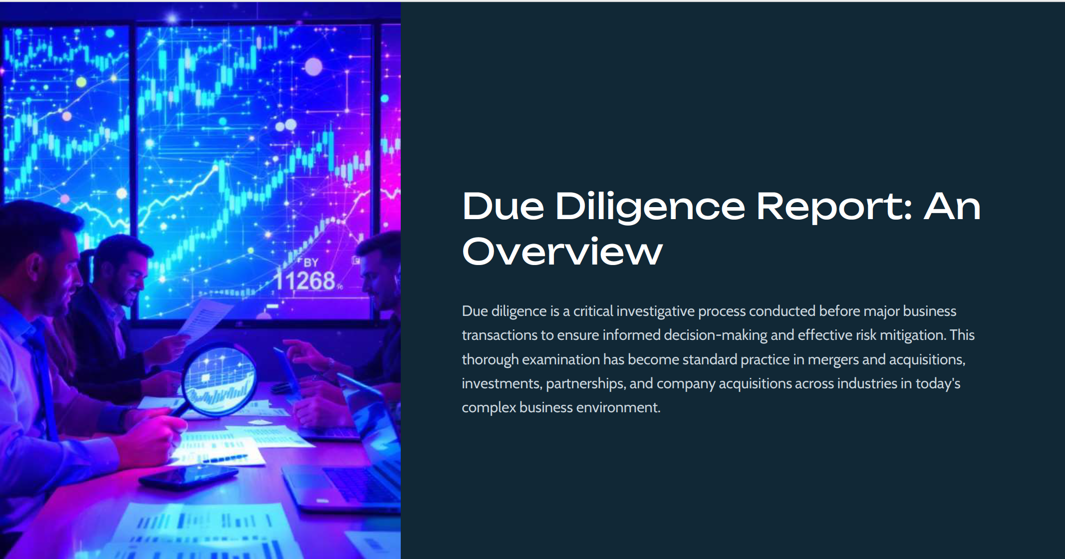 Due Diligence Report: An Overview